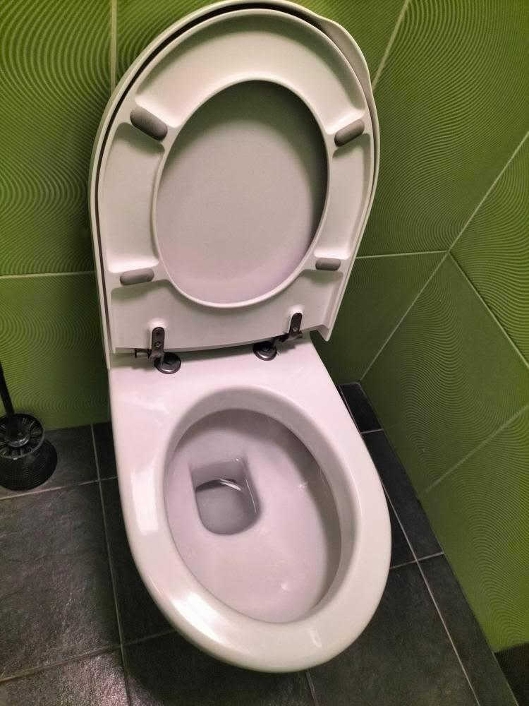 WC désinfecté et détartré — Local commercial, Paris, réalisation Clarté Nettoyage Propre