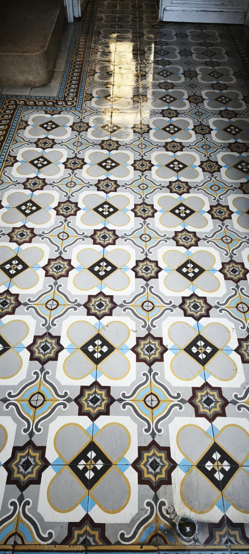 Carreaux de ciment anciens ravivés — Parties communes, Paris, réalisation Clarté Nettoyage Propre